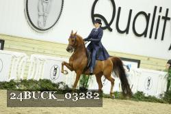 24BUCK_03282 proof