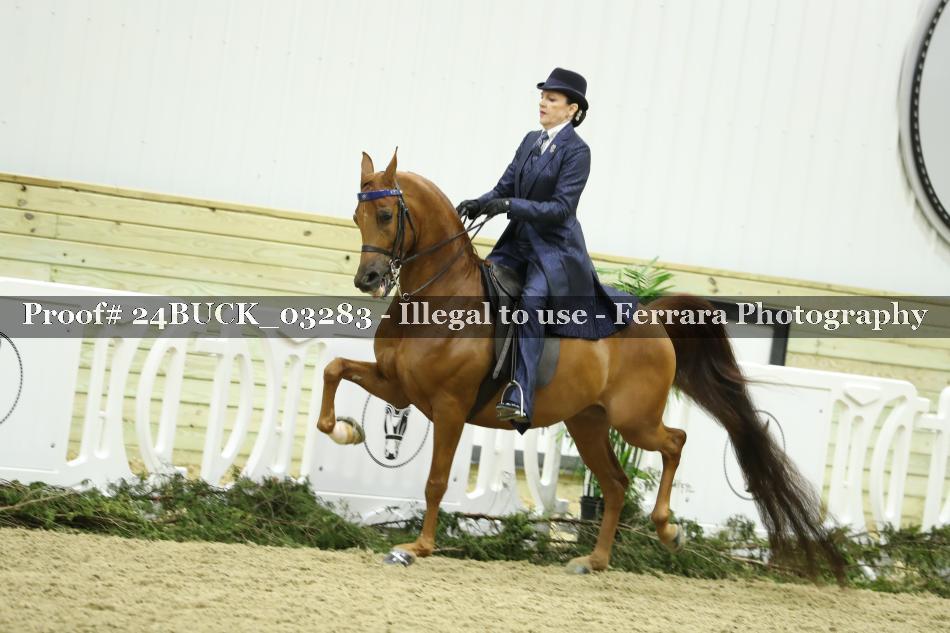 Proof 24BUCK_03283