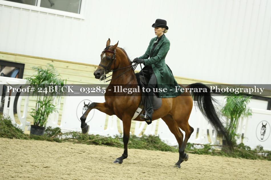 Proof 24BUCK_03285
