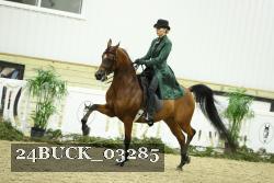 24BUCK_03285 proof