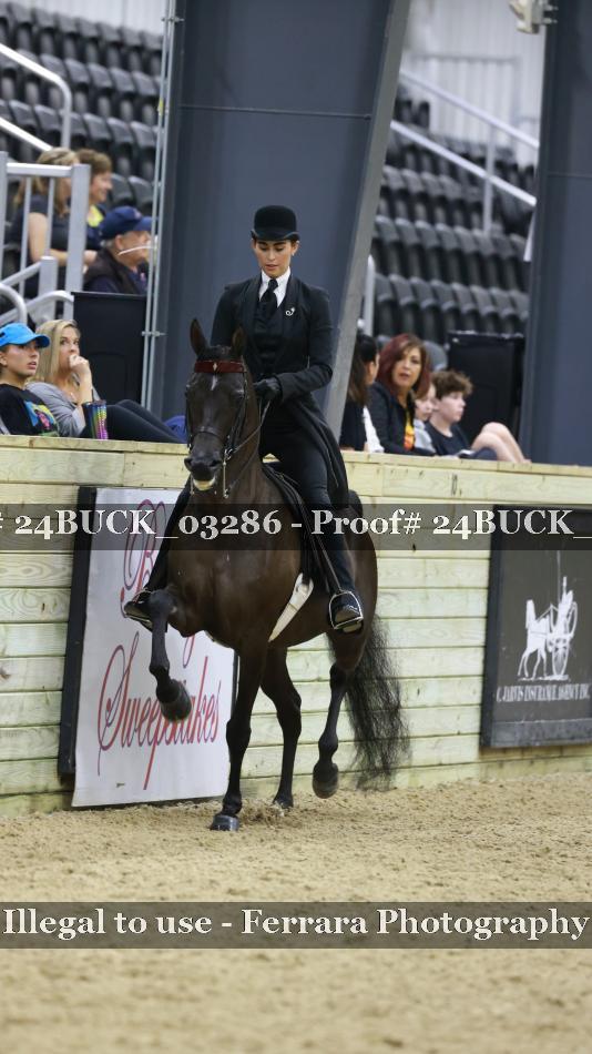 Proof 24BUCK_03286