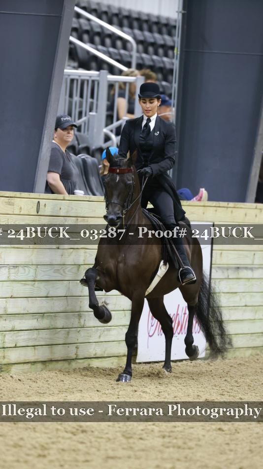 Proof 24BUCK_03287