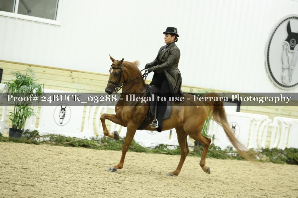 Proof 24BUCK_03288