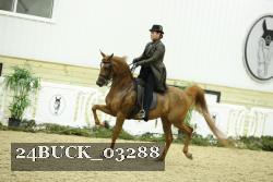 24BUCK_03288 proof