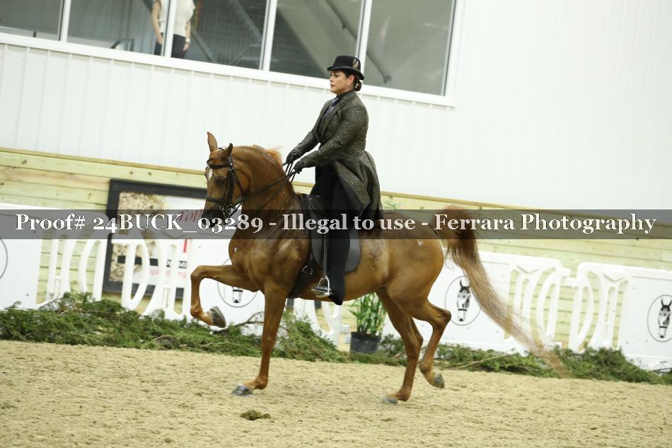 Proof 24BUCK_03289