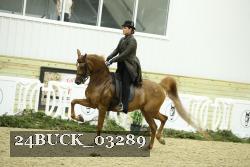 24BUCK_03289 proof