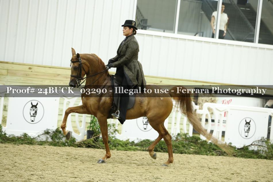 Proof 24BUCK_03290
