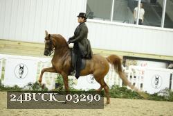 24BUCK_03290 proof