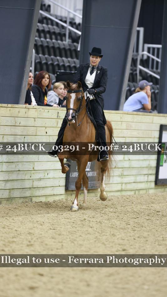 Proof 24BUCK_03291