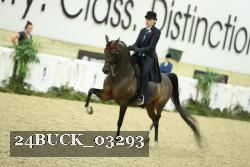 24BUCK_03293 proof