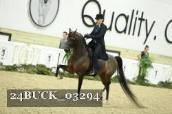 24BUCK_03294 proof
