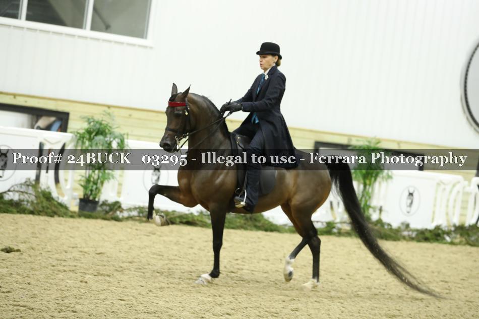 Proof 24BUCK_03295