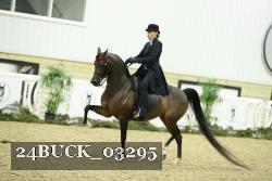 24BUCK_03295 proof