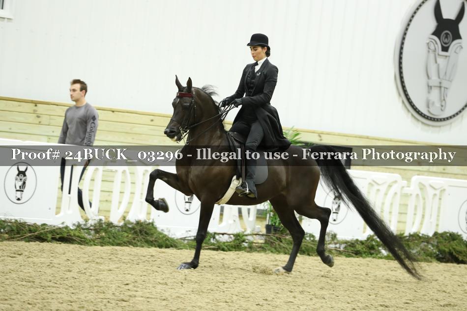 Proof 24BUCK_03296