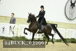 24BUCK_03296 proof