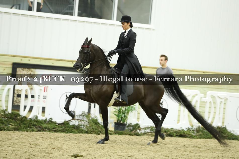 Proof 24BUCK_03297