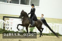 24BUCK_03297 proof
