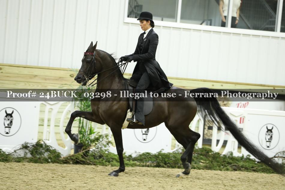 Proof 24BUCK_03298