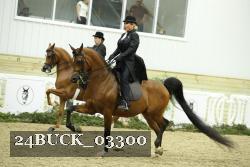 24BUCK_03300 proof