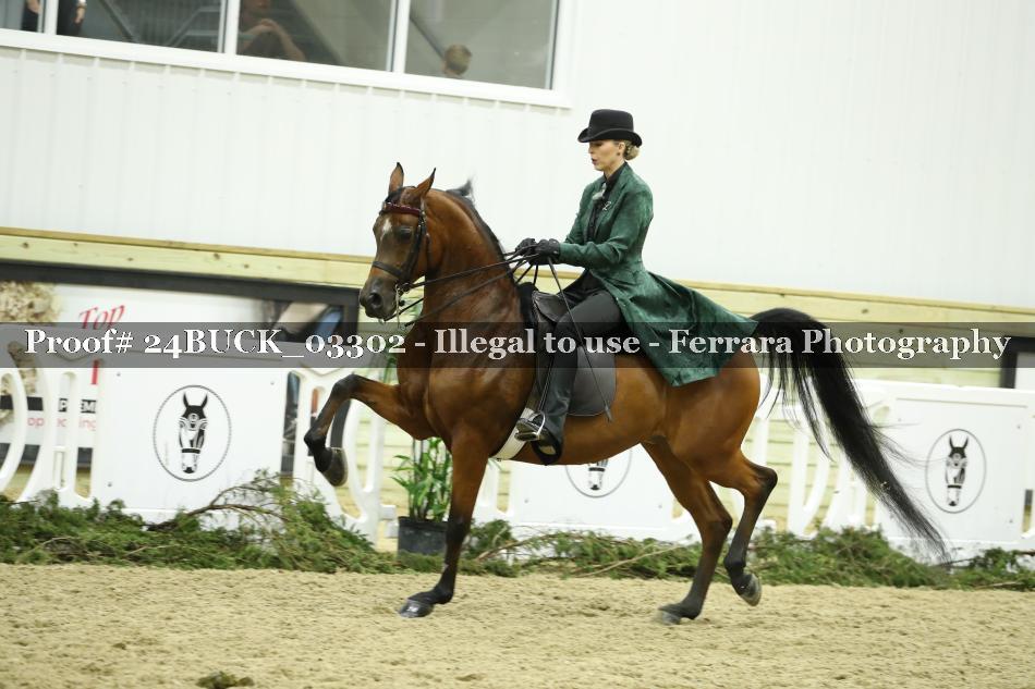 Proof 24BUCK_03302