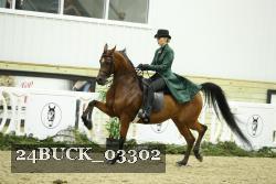 24BUCK_03302 proof