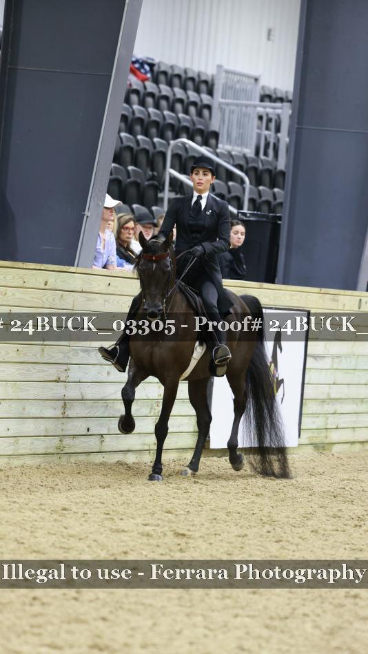 Proof 24BUCK_03305