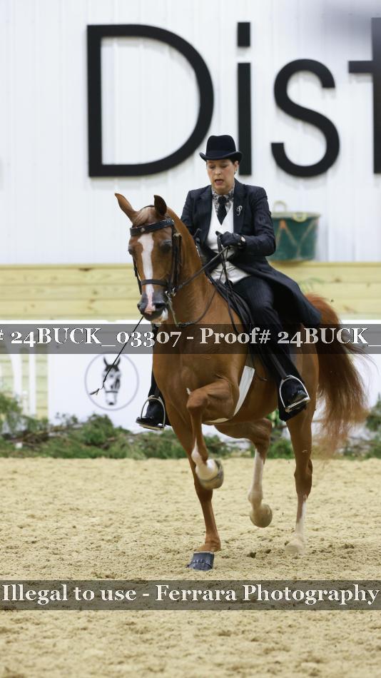Proof 24BUCK_03307