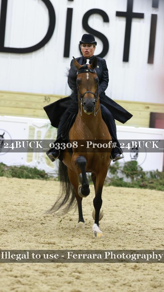 Proof 24BUCK_03308