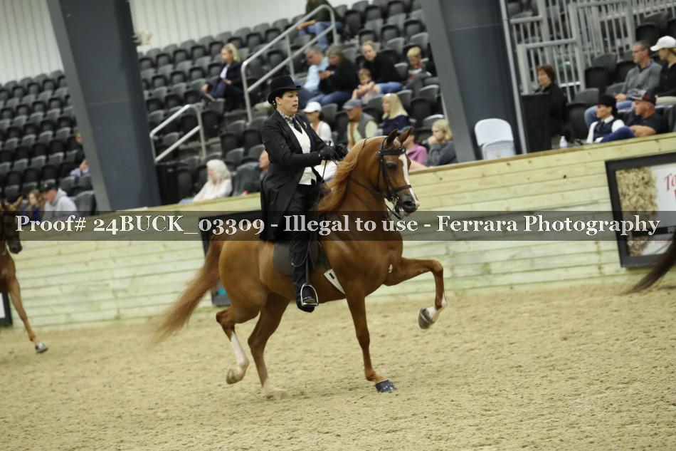 Proof 24BUCK_03309