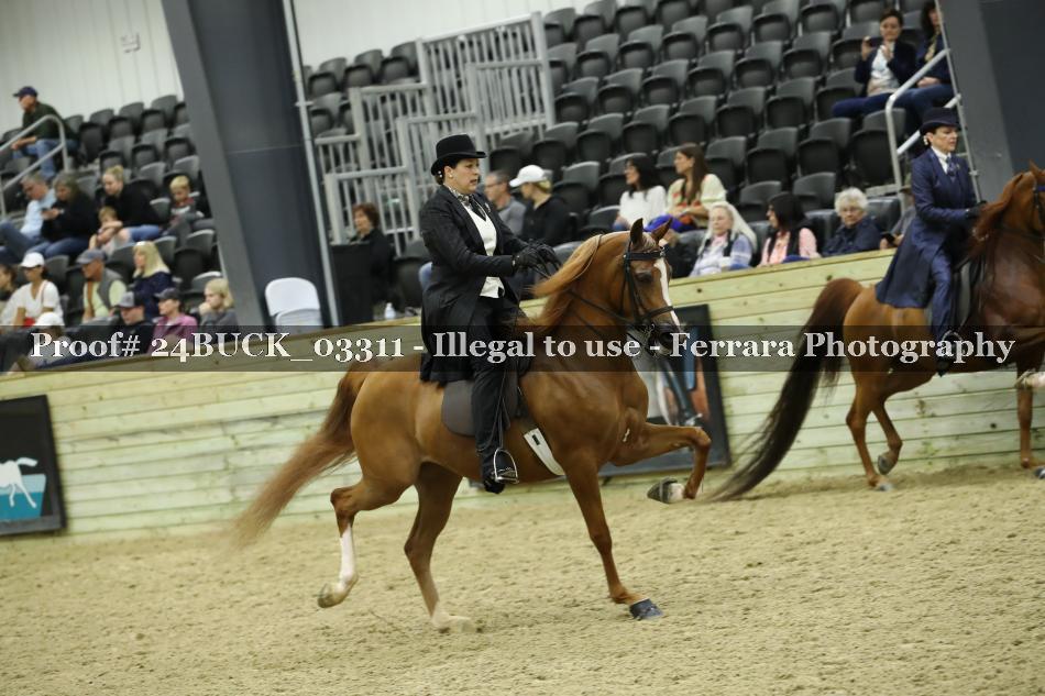 Proof 24BUCK_03311