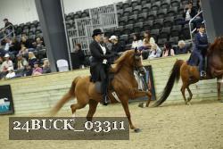 24BUCK_03311 proof