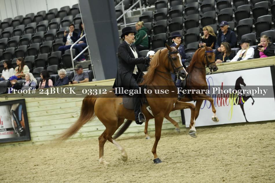 Proof 24BUCK_03312