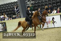 24BUCK_03312 proof
