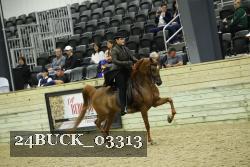 24BUCK_03313 proof