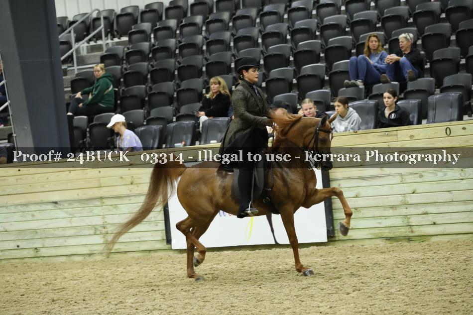 Proof 24BUCK_03314