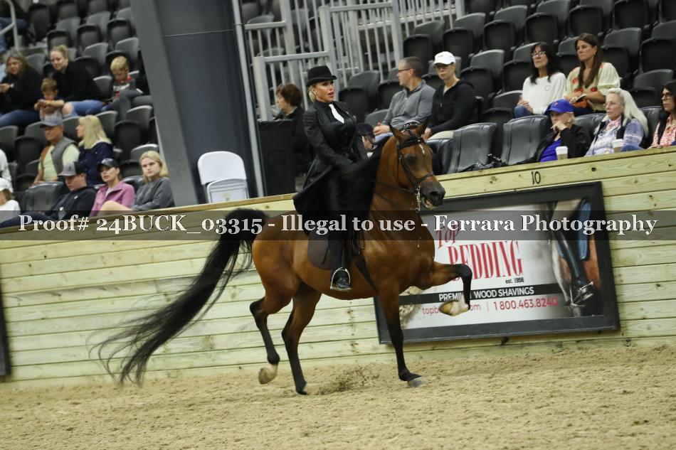Proof 24BUCK_03315