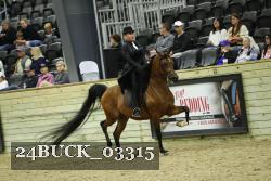 24BUCK_03315 proof