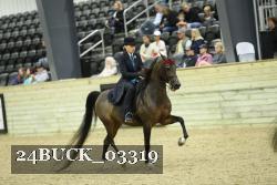 24BUCK_03319 proof