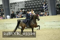 24BUCK_03320 proof