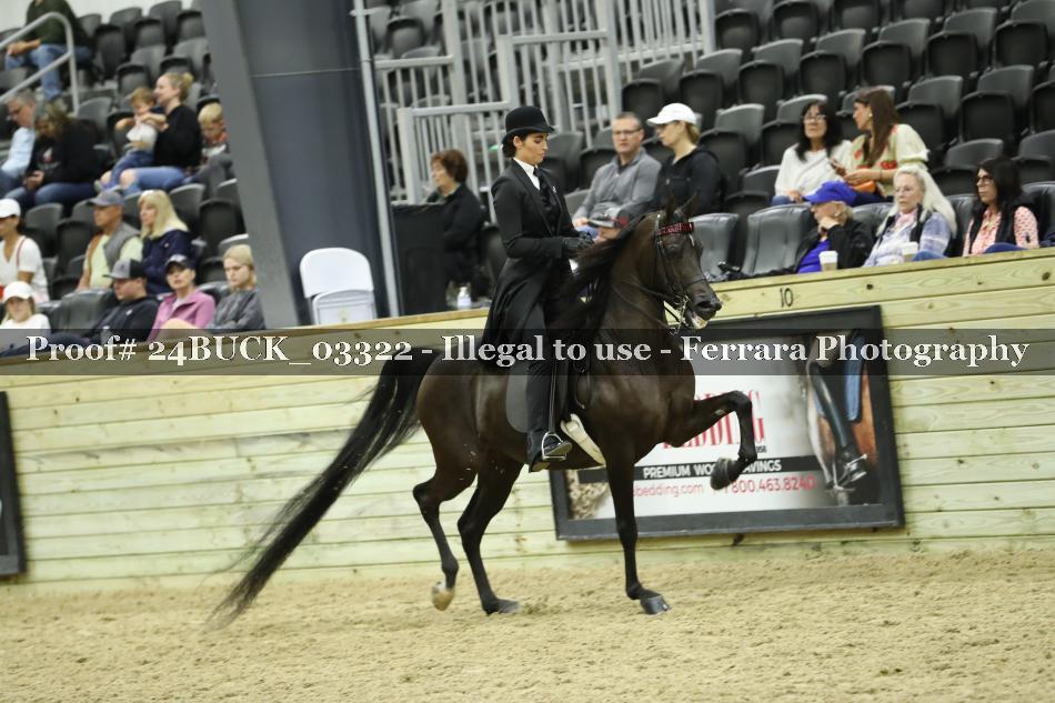 Proof 24BUCK_03322