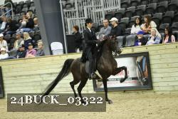 24BUCK_03322 proof