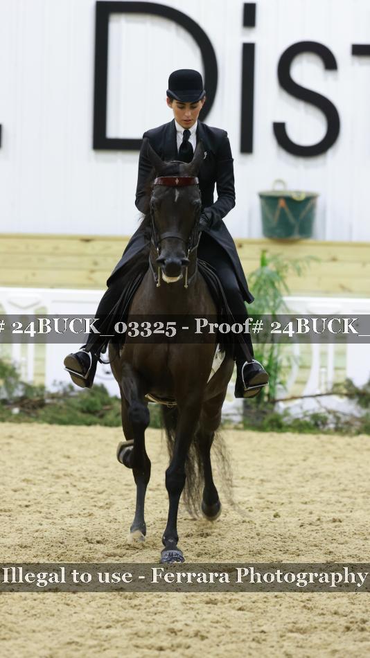 Proof 24BUCK_03325