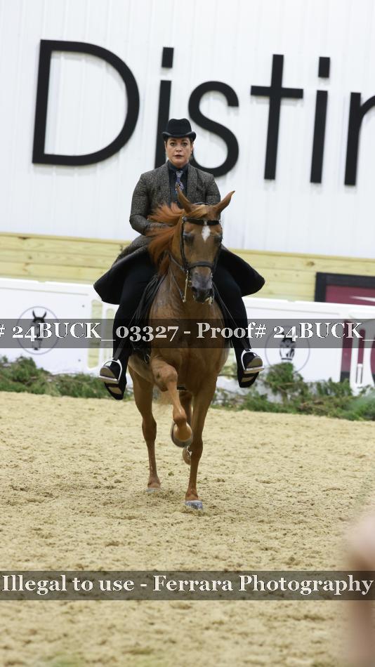Proof 24BUCK_03327