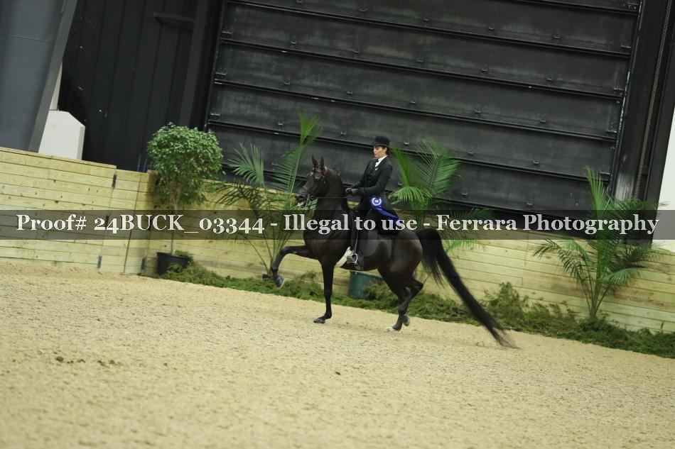 Proof 24BUCK_03344