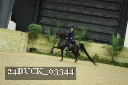 24BUCK_03344 proof