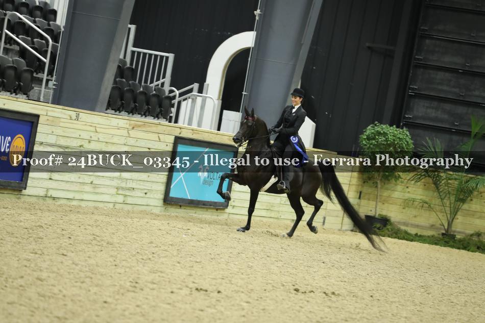 Proof 24BUCK_03345