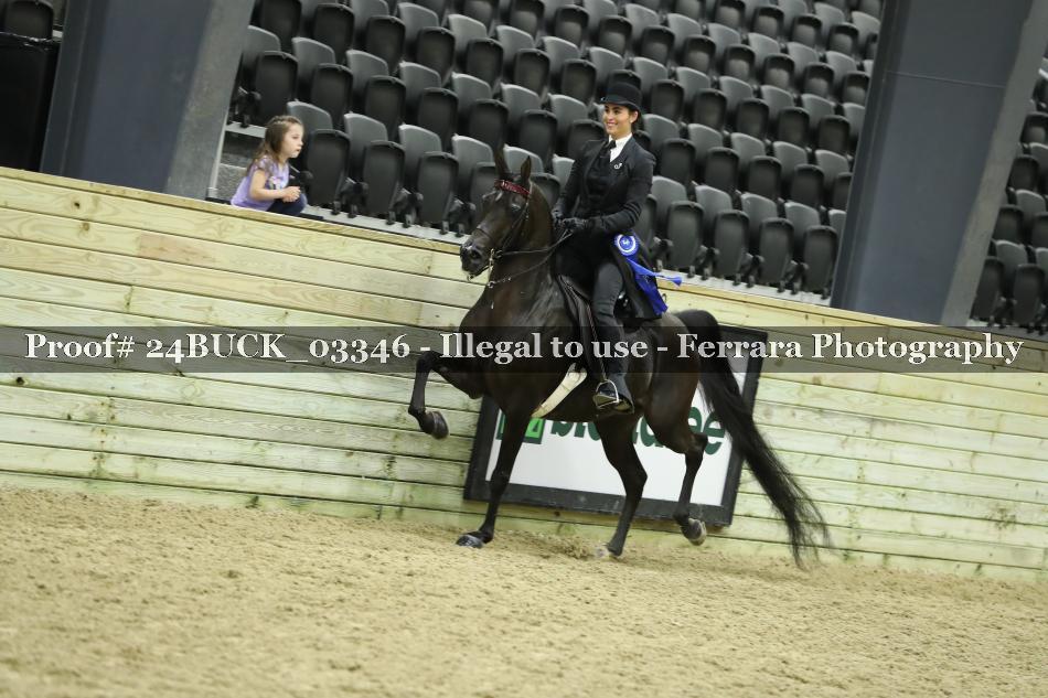 Proof 24BUCK_03346