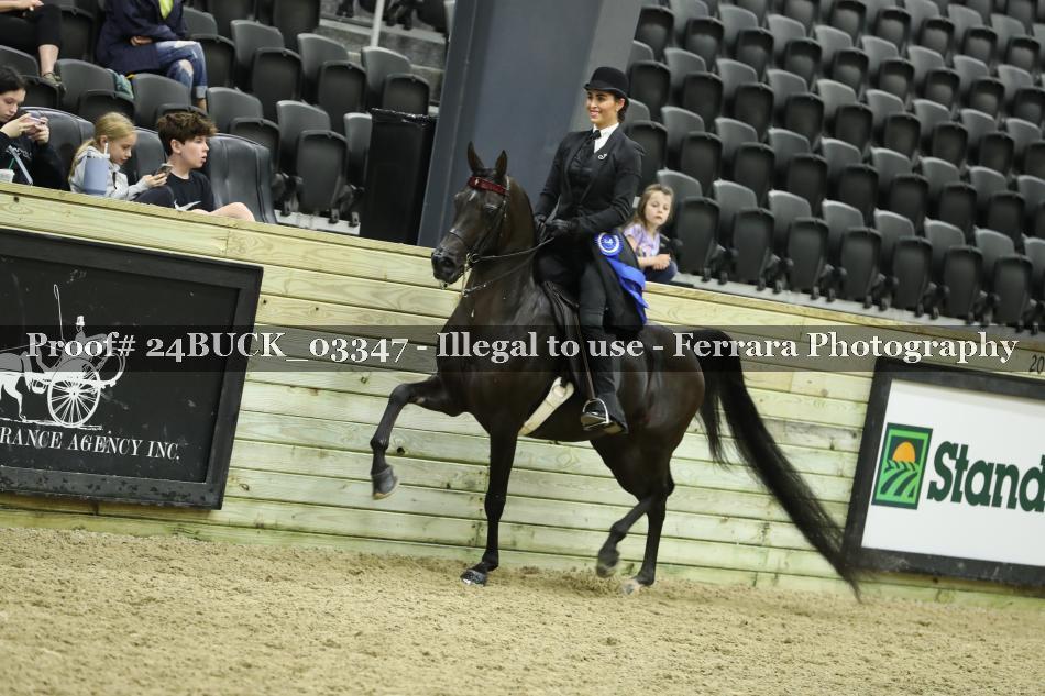 Proof 24BUCK_03347