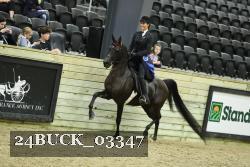 24BUCK_03347 proof
