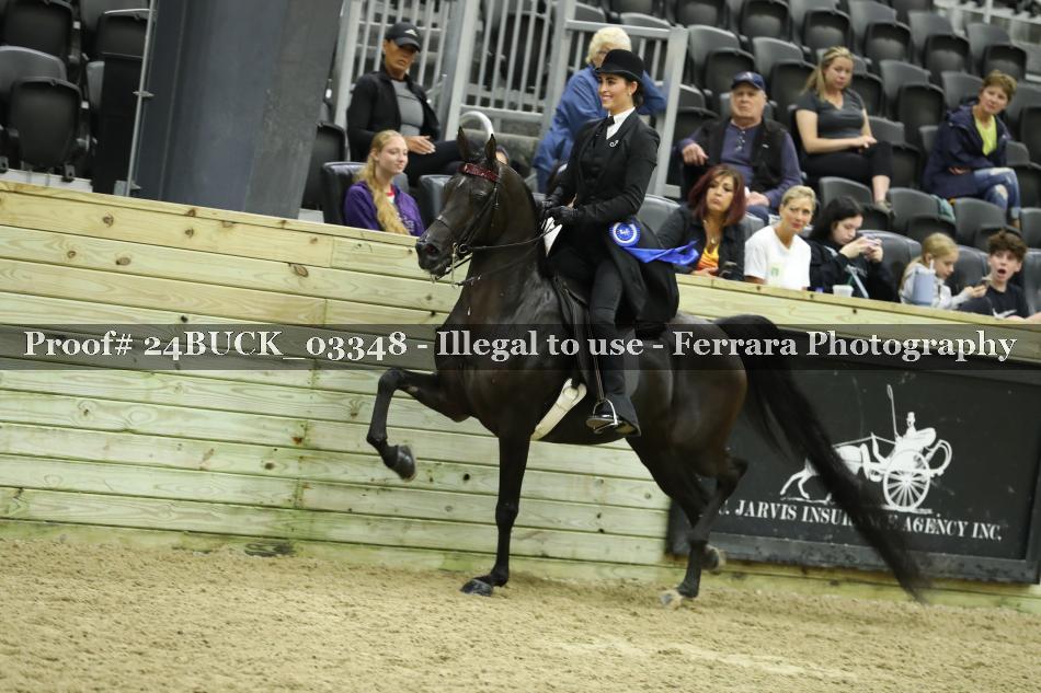 Proof 24BUCK_03348